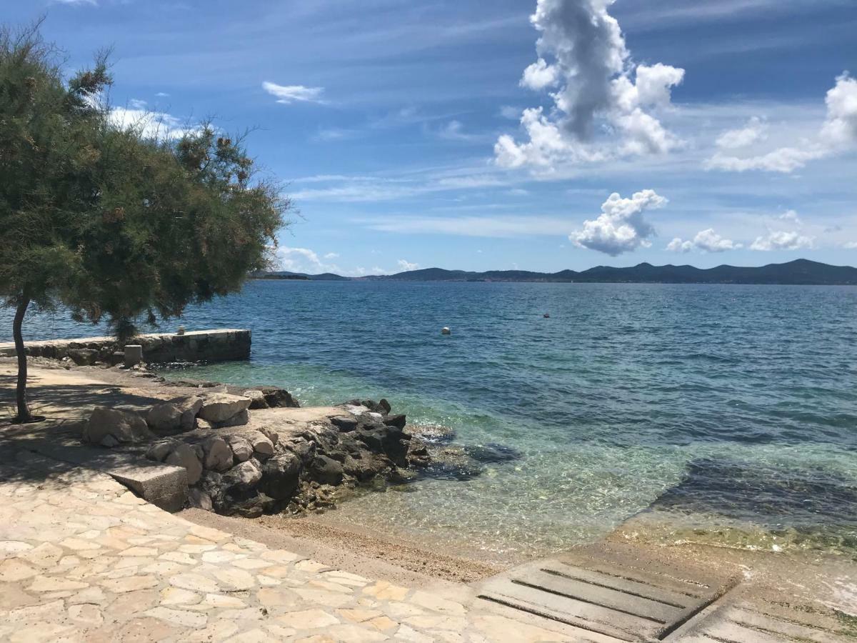 Biba Zadar