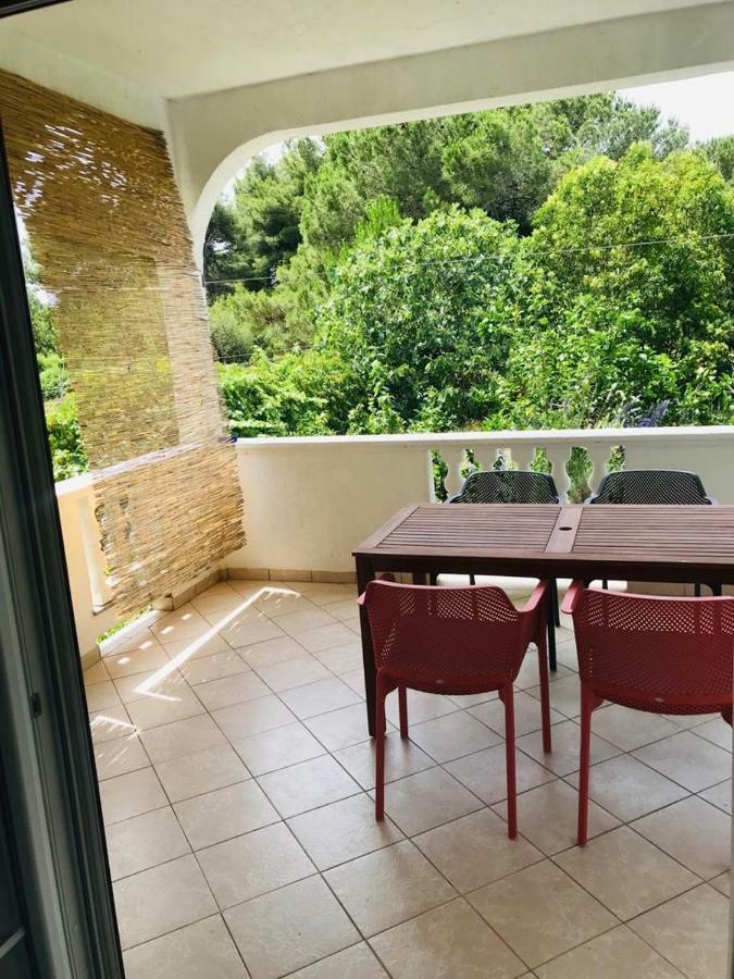 Apartment Biba
